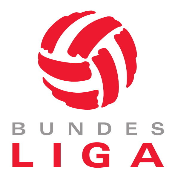 österreichische Fussball Bundesliga